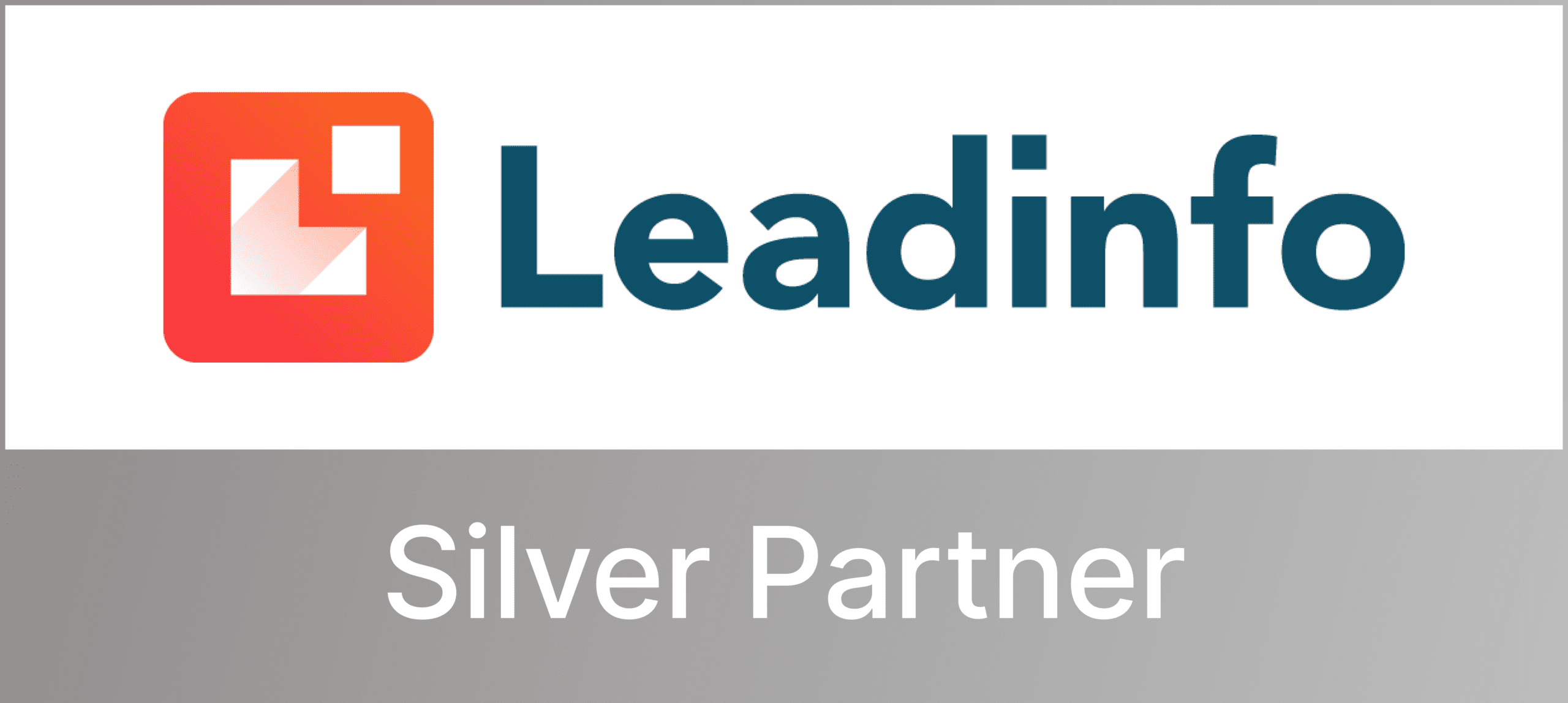 Silver Leadinfo Partner